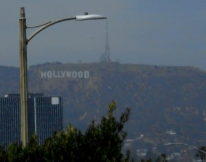 Glimpsed on the horizon - not close up!